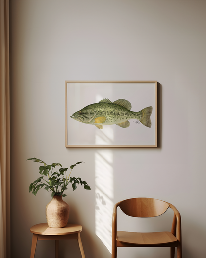 Largemouth Bass Print