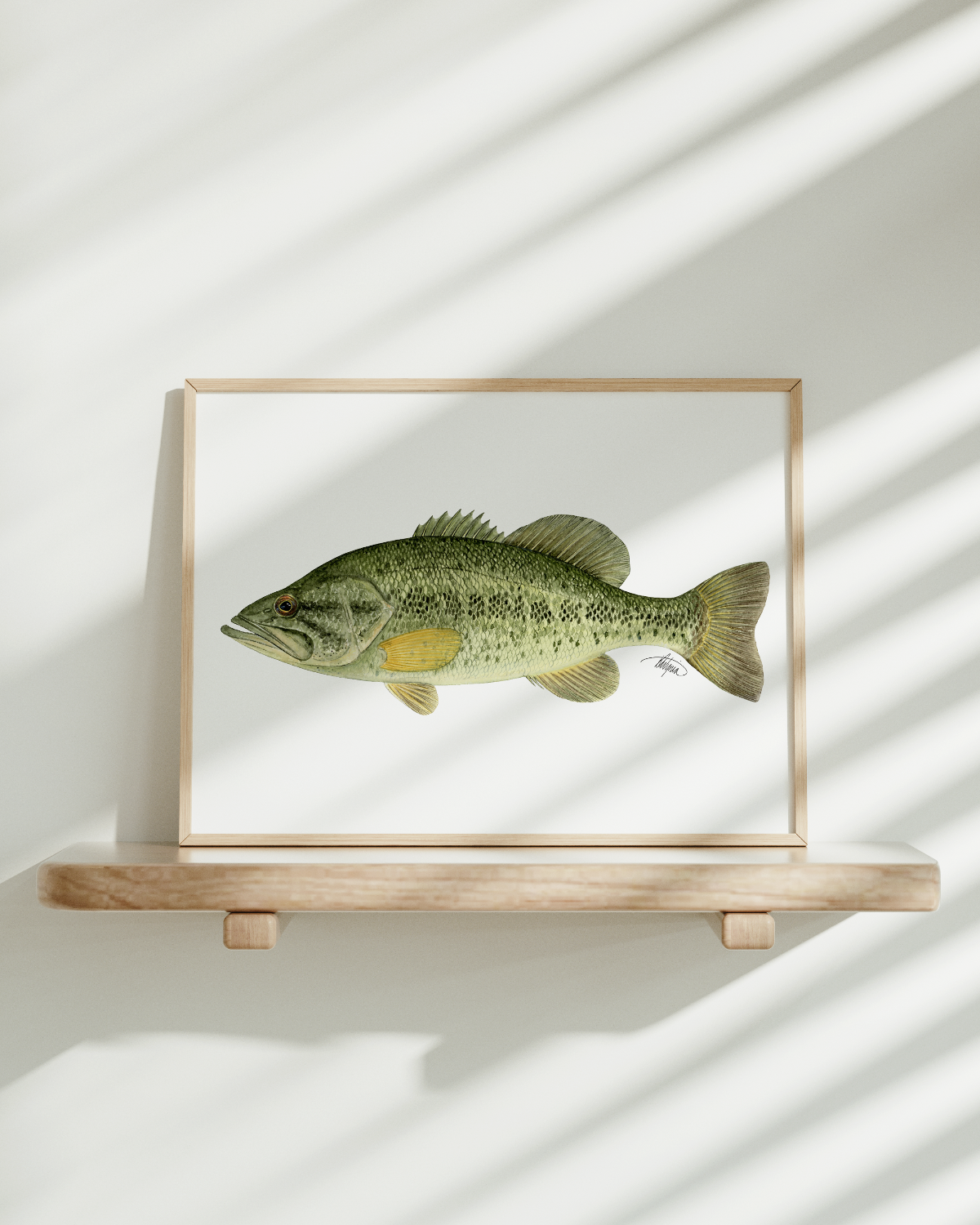 Largemouth Bass Print