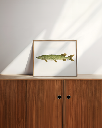 Muskellunge Print