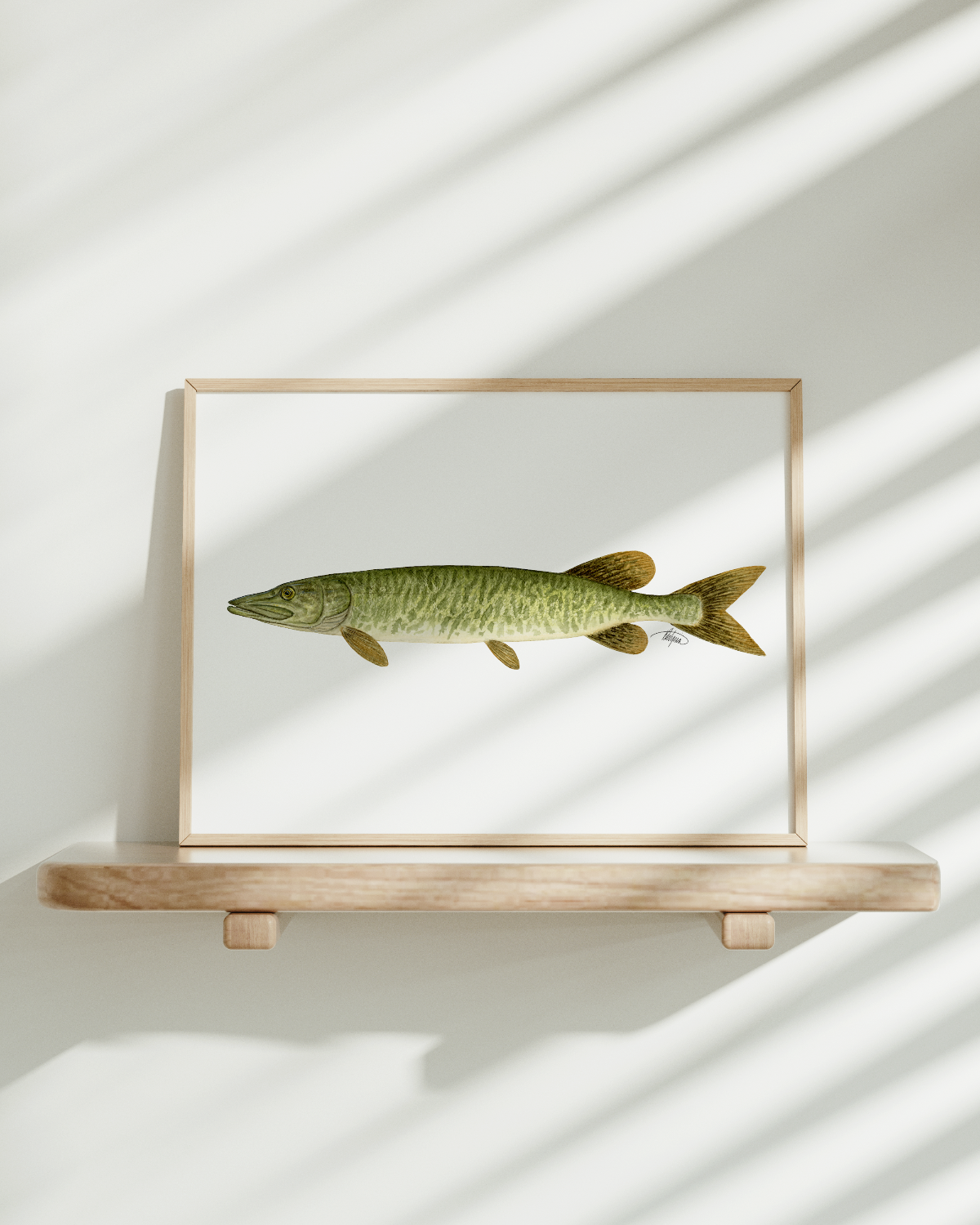 Muskellunge Print