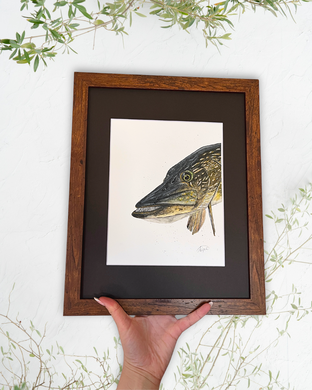 Northern Pike Head - Original Watercolour Painting