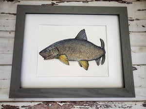 Original Lake Whitefish Watercolour Painting