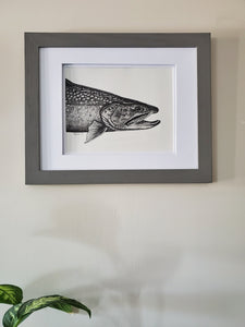 Brook Trout Pen & Ink Original