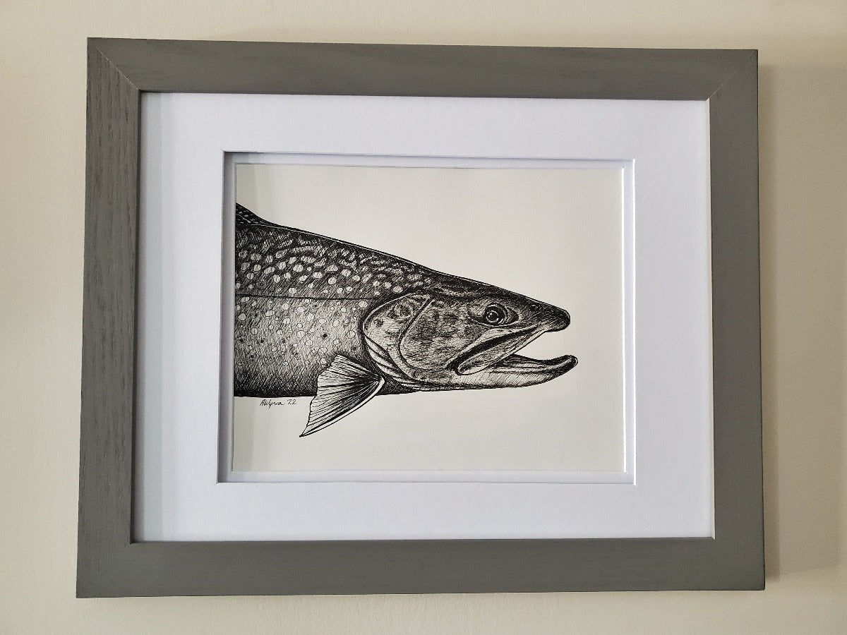 Brook Trout Pen & Ink Original