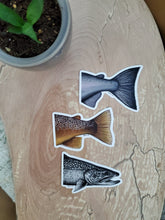 Load image into Gallery viewer, Brook Trout Vinyl Sticker
