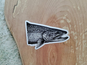 Brook Trout Vinyl Sticker