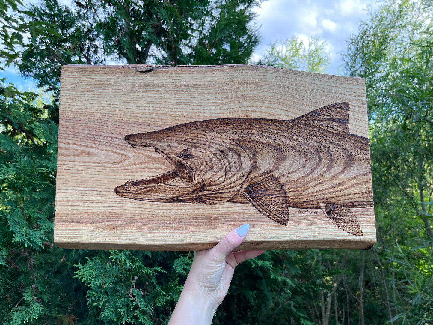 “Upstream” Chinook/King on Live-Edge Ash