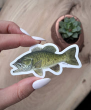 Load image into Gallery viewer, “Casting Call” Smallmouth Bass Vinyl Sticker
