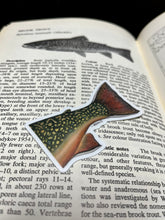 Load image into Gallery viewer, Brook Trout “Adipose” Vinyl Sticker
