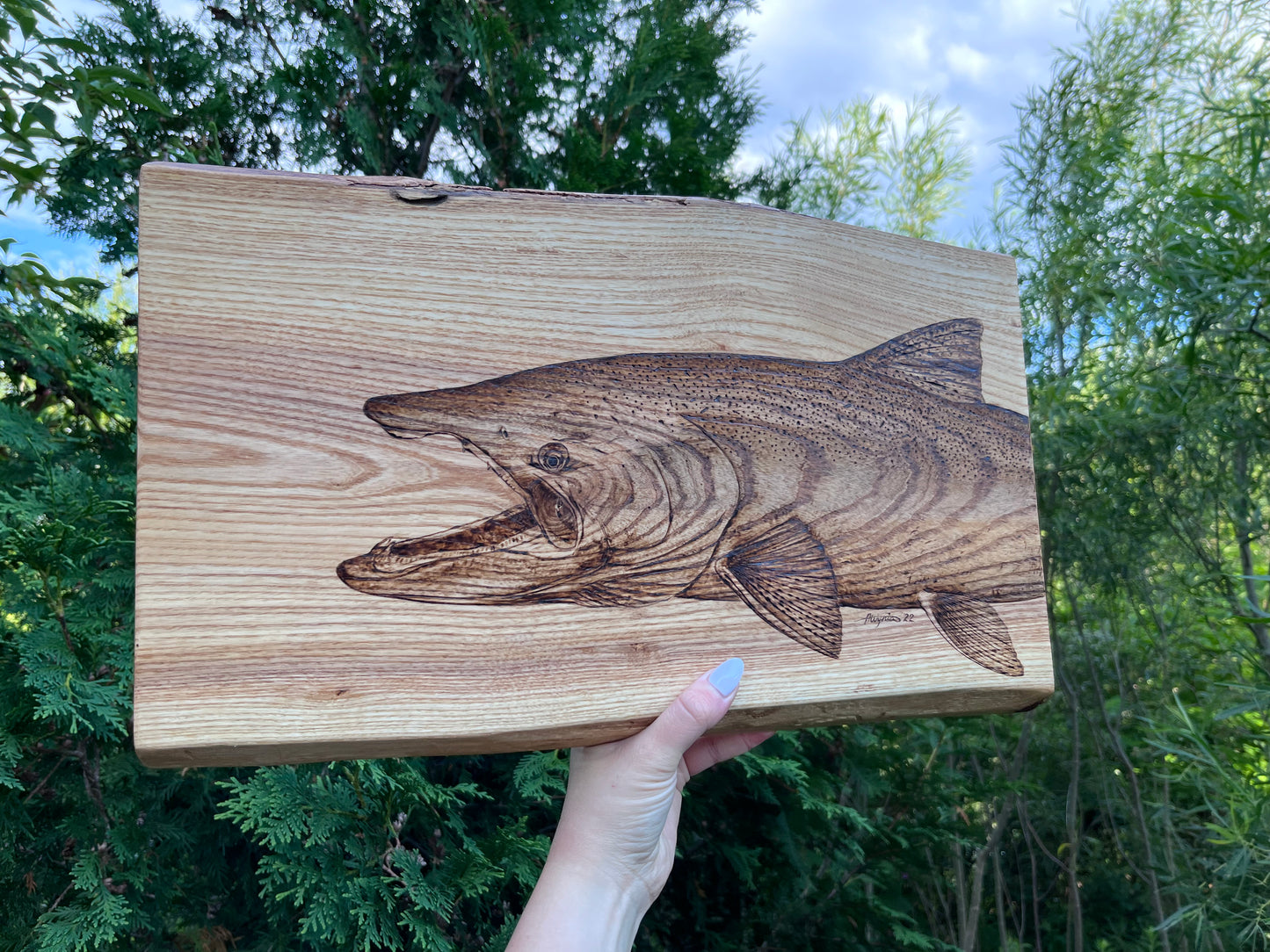 “Upstream” Chinook/King on Live-Edge Ash