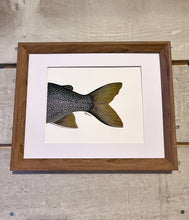 Load image into Gallery viewer, Lake Trout - Adipose Series Original Watercolour (8x10)
