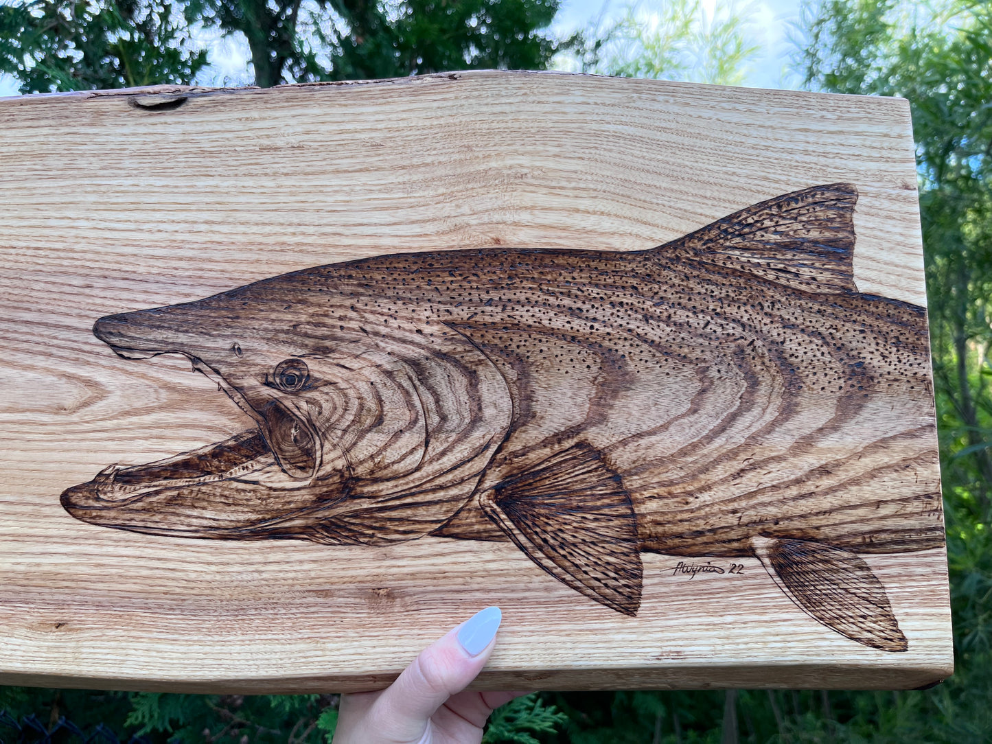 “Upstream” Chinook/King on Live-Edge Ash