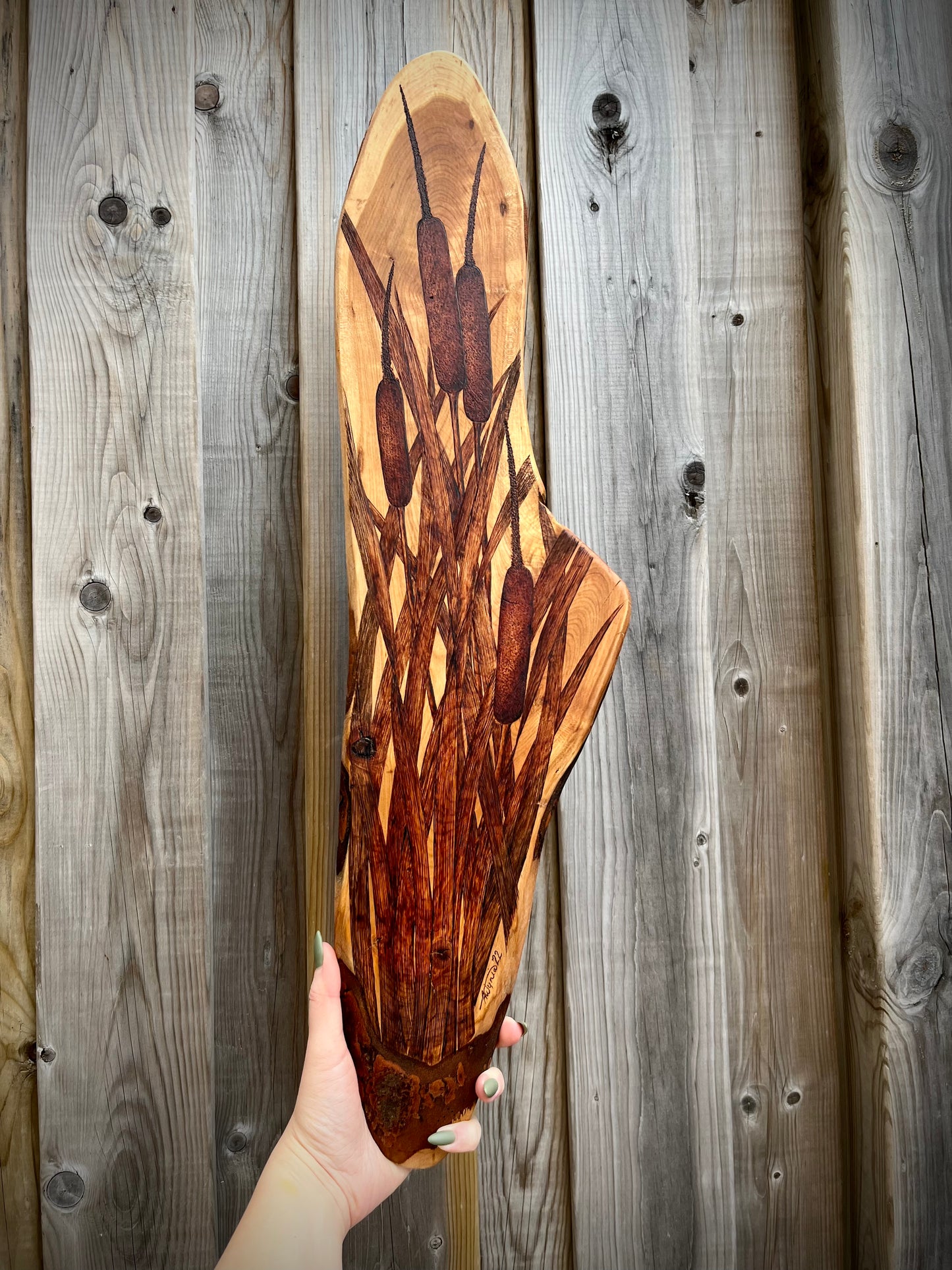 “Typha Latifolia” Broadleaf Cattail on Live Edge Cherry