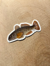 Load image into Gallery viewer, Round Goby Vinyl Stickers - Art for a Cause
