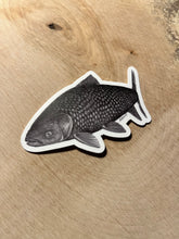 Load image into Gallery viewer, Grass Carp Vinyl Sticker - Art for a Cause
