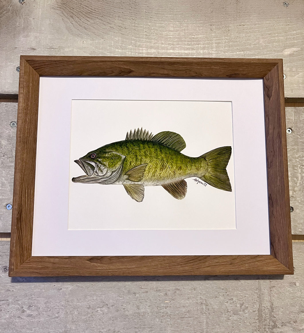 “Casting Call” Smallmouth Bass Original Watercolour (8x10)