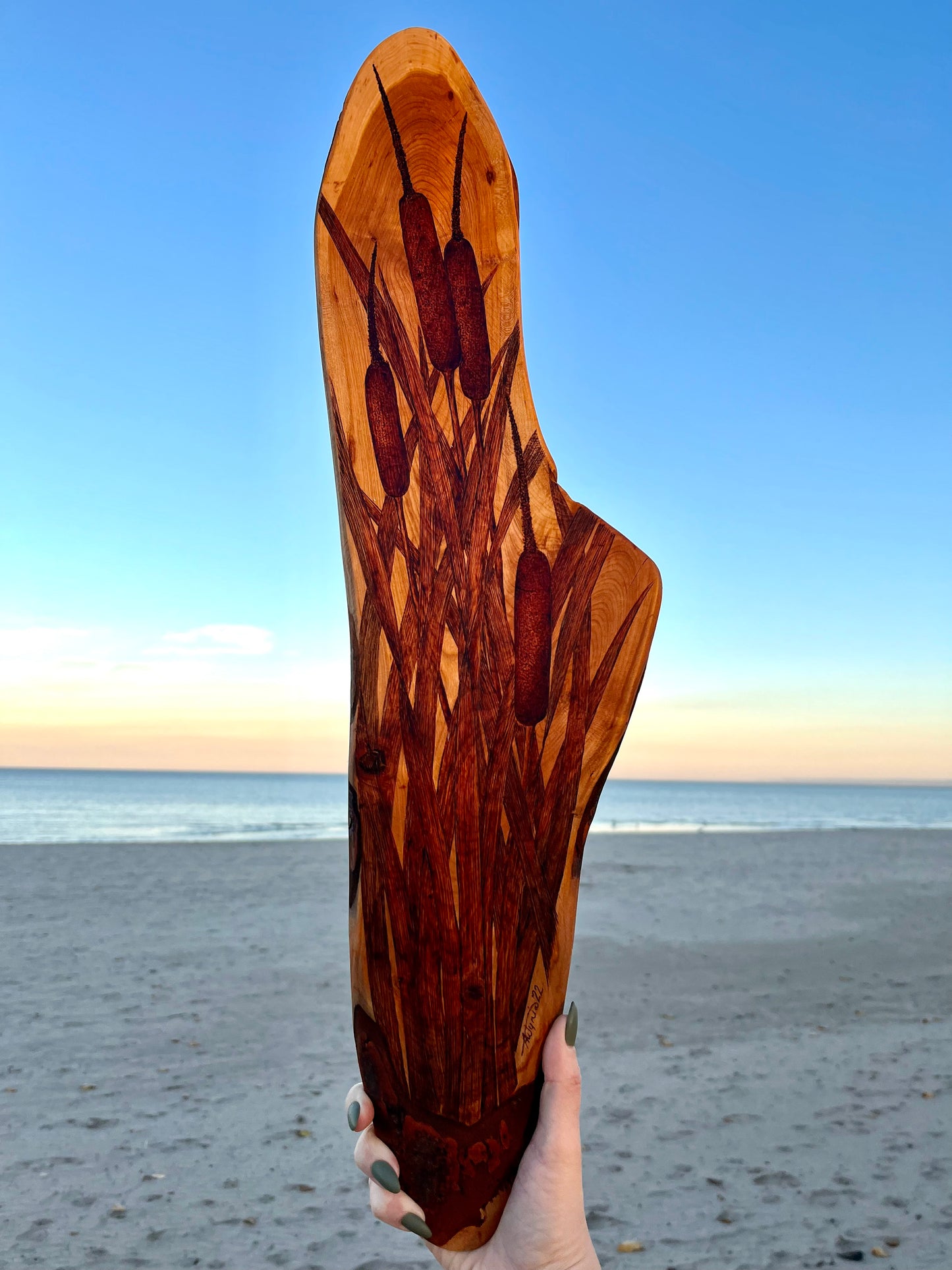 “Typha Latifolia” Broadleaf Cattail on Live Edge Cherry