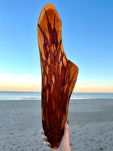 Load image into Gallery viewer, “Typha Latifolia” Broadleaf Cattail on Live Edge Cherry
