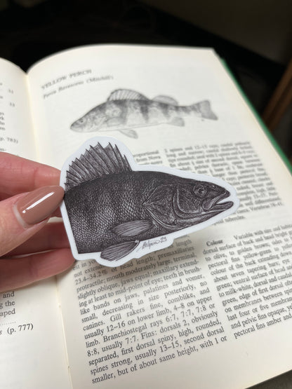 Yellow Perch Vinyl Sticker