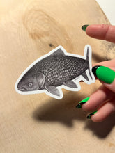 Load image into Gallery viewer, Grass Carp Vinyl Sticker - Art for a Cause
