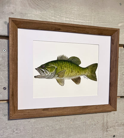 “Casting Call” Smallmouth Bass Original Watercolour (8x10)