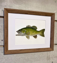 Load image into Gallery viewer, “Casting Call” Smallmouth Bass Original Watercolour (8x10)
